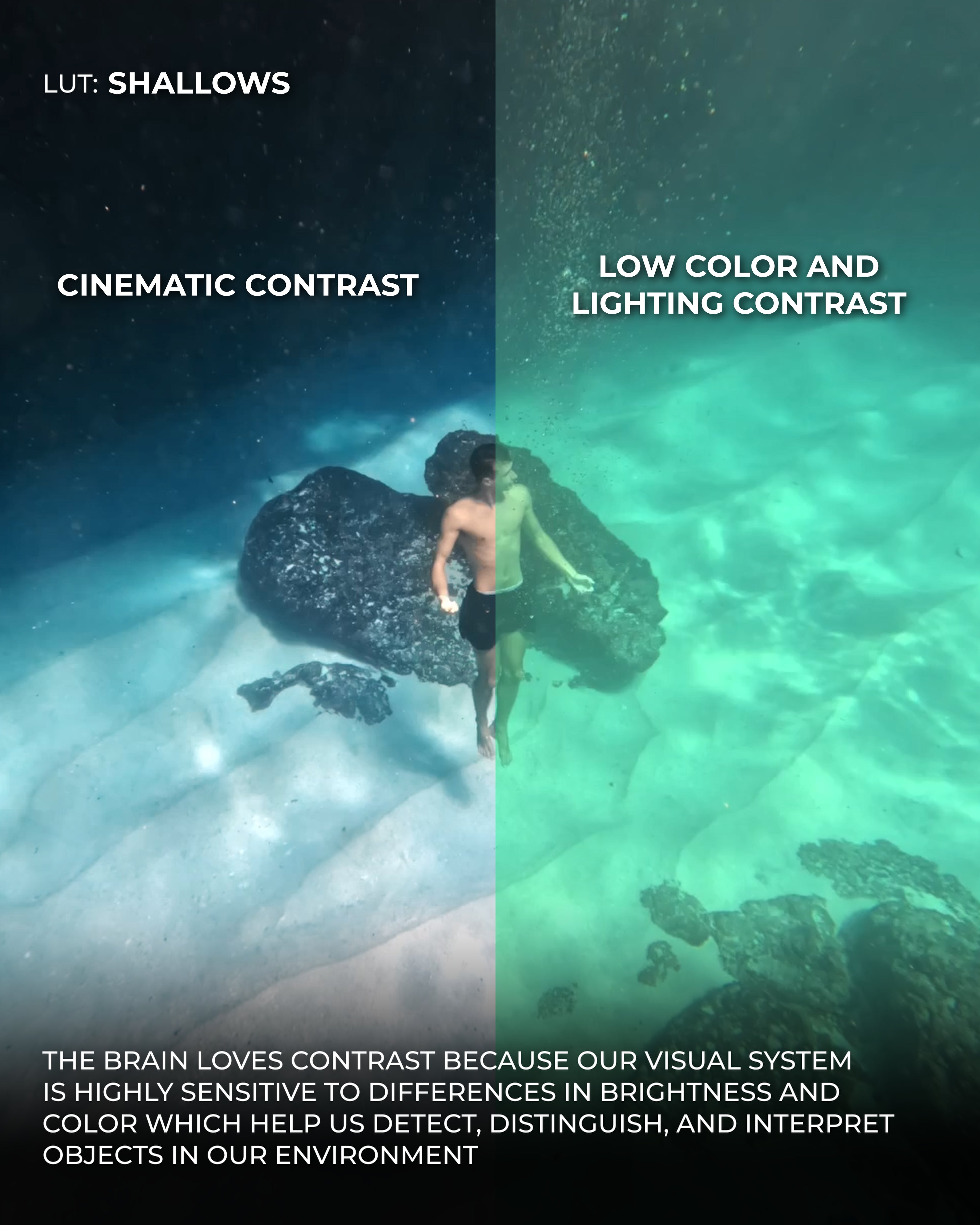 50 Underwater LUTS